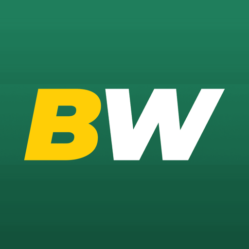 BetWinner